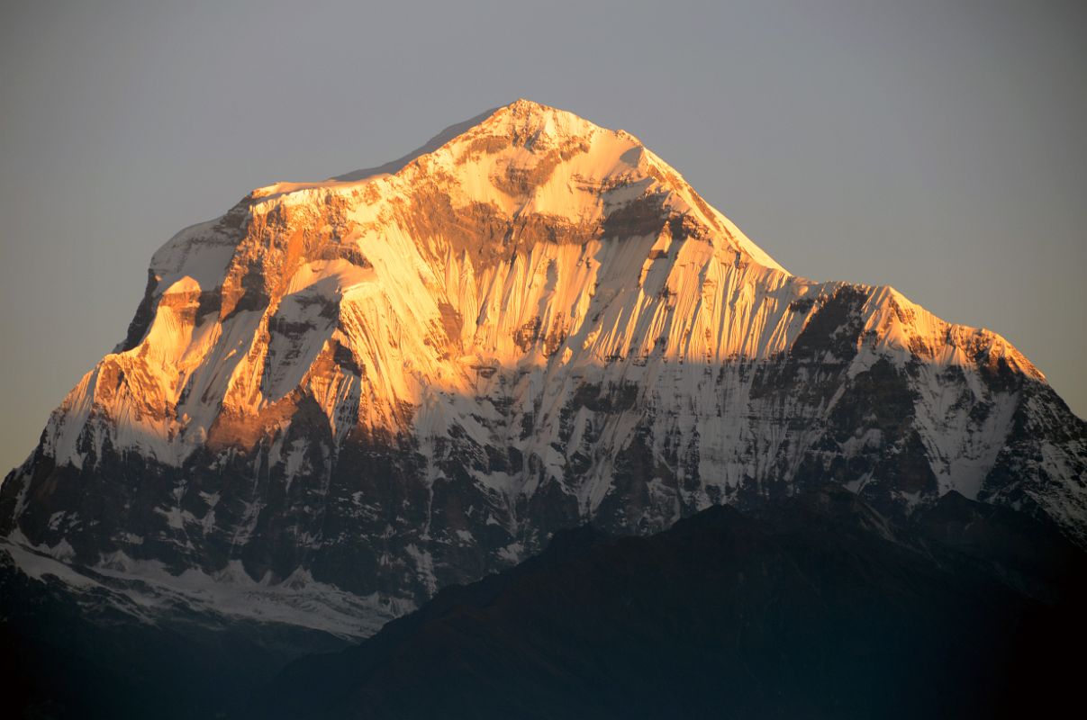 Poon Hill 10 Dhaulagiri At Sunrise 